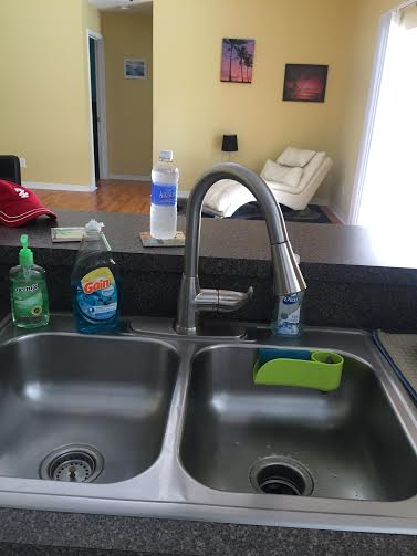 new kitchen sink faceut